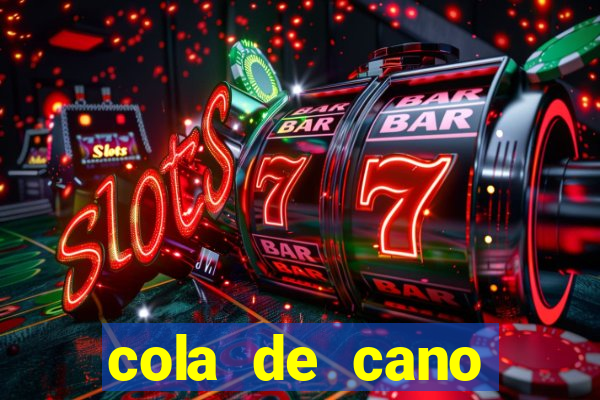 cola de cano quanto tempo para secar